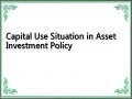 Capital Use Situation in Asset Investment Policy