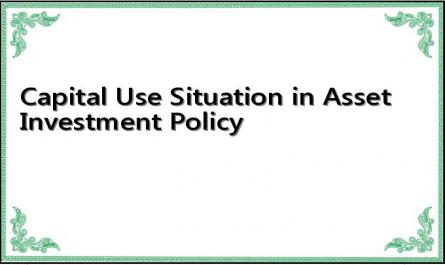 Capital Use Situation in Asset Investment Policy