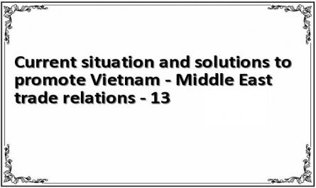 Current situation and solutions to promote Vietnam - Middle East trade relations - 13