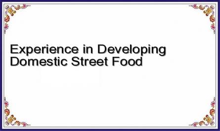 Experience in Developing Domestic Street Food