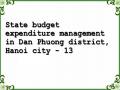 State budget expenditure management in Dan Phuong district, Hanoi city - 13