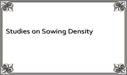 Studies on Sowing Density