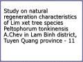 Study on natural regeneration characteristics of Lim xet tree species Peltophorum tonkinensis A.Chev in Lam Binh district, Tuyen Quang province - 11