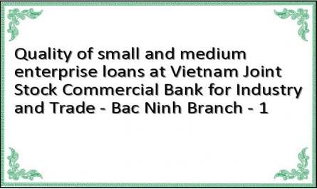 Quality of small and medium enterprise loans at Vietnam Joint Stock Commercial Bank for Industry and Trade - Bac Ninh Branch - 1