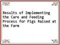 Results of Implementing the Care and Feeding Process for Pigs Raised at the Farm