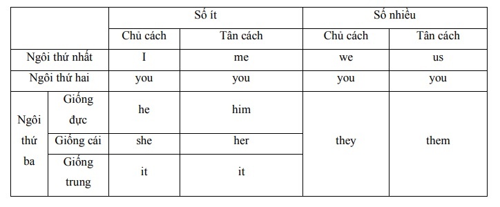 Có thể thấy số lượng đại từ xưng hô trong tiếng Anh là khá nhỏ lại liên 2