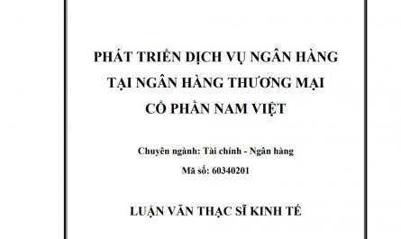 Phát triển dịch vụ ngân hàng tại ngân hàng thương mại cổ phần Nam Việt - 1