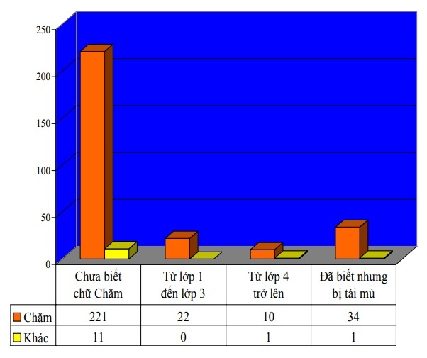 Of the 300 surveyed people, 287 are Cham people, 13 are other ethnic groups ( Kinh, Rai), they are 2