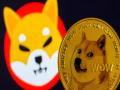 Why are the two jokes Dogecoin and Shiba Inu in the top 10 largest virtual currencies in the world?