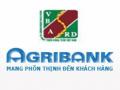 Giải pháp nâng cao hiệu quả hoạt động thanh toán quốc tế tại Ngân hàng Nông nghiệp và phát triển nông thôn Việt Nam, chi nhánh Đồng Nai - 2