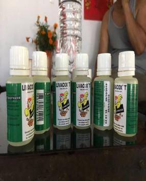   Ảnh 13 Vắc xin LiveCox Ảnh 14 Vắc xin ND IB ND skill   Ảnh 15 Thuốc RTD 13
