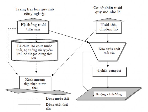 Hình 2 1 Mô hình quản lý chất thải rắn chăn nuôi trên thế giới Tại các 1