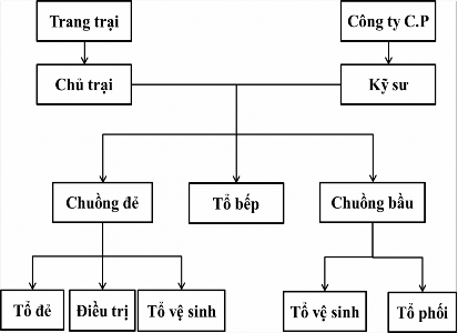 Hình 4 1 Sơ đồ tổ chức bộ máy quản lý tại trang trại 4 1 3 Tình hình sản 1