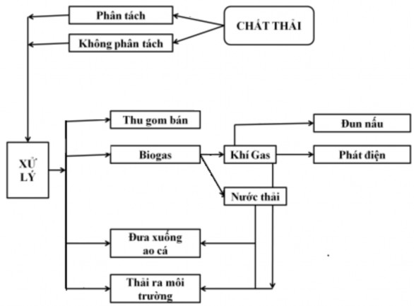 Hình 4 4 Sơ đồ áp dụng các hình thức xử lý chất thải của trang trại Lợn 1