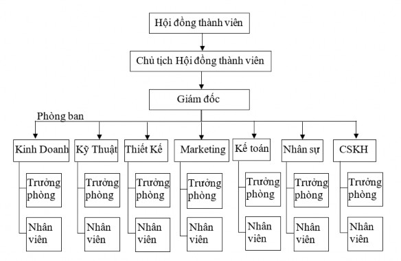 Hình 2 1 Cơ cấu bộ máy tổ chức tại Công ty Trách nhiệm hữu hạn VinaHost 1