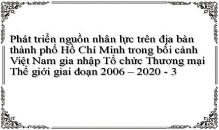 Phát triển nguồn nhân lực trên địa bàn thành phố Hồ Chí Minh trong bối cảnh Việt Nam gia nhập Tổ chức Thương mại Thế giới giai đoạn 2006 – 2020 - 3