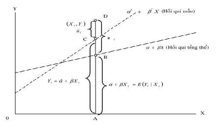 Hình 2 2 Phương trình hồi quy của tổng thể và của mẫu Các giả thiết OLS 1