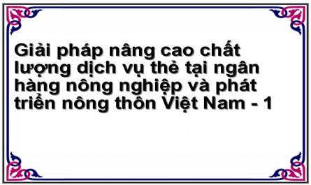 Giải pháp nâng cao chất lượng dịch vụ thẻ tại ngân hàng nông nghiệp và phát triển nông thôn Việt Nam - 1