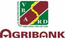 Tên ngân hàng Ngân hàng Nông nghiệp và Phát triển Nông thôn Việt Nam Tên giao 1