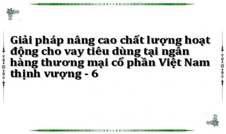 Giải pháp nâng cao chất lượng hoạt động cho vay tiêu dùng tại ngân hàng thương mại cổ phần Việt Nam thịnh vượng - 6