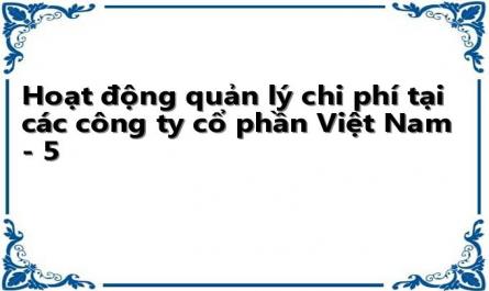 Hoạt động quản lý chi phí tại các công ty cổ phần Việt Nam - 5