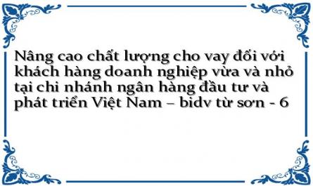 Nâng cao chất lượng cho vay đối với khách hàng doanh nghiệp vừa và nhỏ tại chi nhánh ngân hàng đầu tư và phát triển Việt Nam – bidv từ sơn - 6
