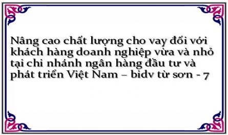 Nâng cao chất lượng cho vay đối với khách hàng doanh nghiệp vừa và nhỏ tại chi nhánh ngân hàng đầu tư và phát triển Việt Nam – bidv từ sơn - 7