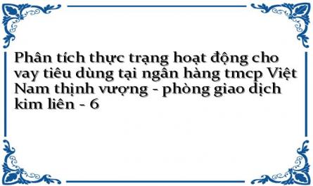 Phân tích thực trạng hoạt động cho vay tiêu dùng tại ngân hàng tmcp Việt Nam thịnh vượng - phòng giao dịch kim liên - 6