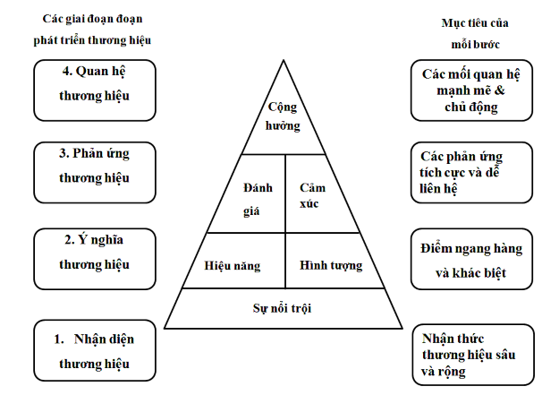 Đi từ đáy của kim tự tháp cho đến đỉnh là quá trình tạo ra độ nhận biết 2