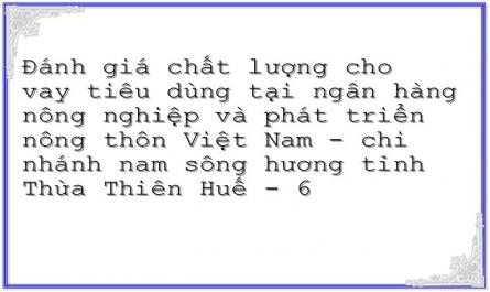 Đánh giá chất lượng cho vay tiêu dùng tại ngân hàng nông nghiệp và phát triển nông thôn Việt Nam - chi nhánh nam sông hương tỉnh Thừa Thiên Huế - 6