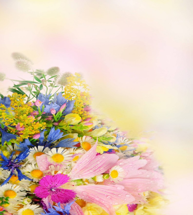 Lời Cảm Ơn Để hoàn thành khóa luận này em xin tỏ lòng biết ơn sâu sắc 1