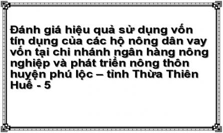 Doanh Số Cho Vay Đối Với Các Hộ Nông Dân Tại Chi Nhánh Nhnn&ptnt Huyện Phú Lộc Qua 3 Năm (2013 –