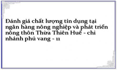 Đánh giá chất lượng tín dụng tại ngân hàng nông nghiệp và phát triển nông thôn Thừa Thiên Huế - chi nhánh phú vang - 11