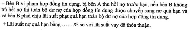 Phụ lục 06 Giấy nhận nợ Phụ lục 09 Giâý đề nghị kiêm phương án cơ cấu 8