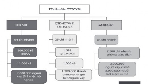 Hình 1 8 – Một số các tổ chức hàng đầu cung cấp dịch vụ tài chính vi mô 1