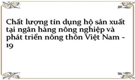 Chất lượng tín dụng hộ sản xuất tại ngân hàng nông nghiệp và phát triển nông thôn Việt Nam - 19
