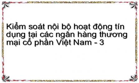 Kiểm soát nội bộ hoạt động tín dụng tại các ngân hàng thương mại cổ phần Việt Nam - 3