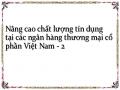 Nâng cao chất lượng tín dụng tại các ngân hàng thương mại cổ phần Việt Nam - 2