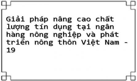 Giải pháp nâng cao chất lượng tín dụng tại ngân hàng nông nghiệp và phát triển nông thôn Việt Nam - 19