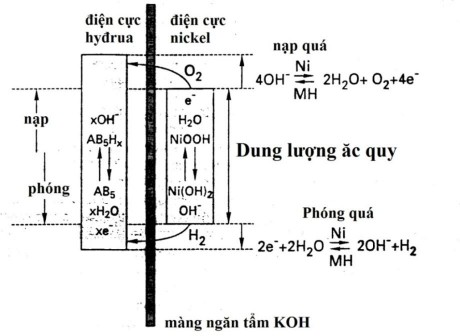 Hình 1 4 Mô hình điện hoá của ăc quy Ni MH 77 Các phản ứng điện hoá xảy ra 7