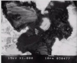 A b Hình 1 12 Ảnh SEM bề mặt mẫu LaNi 2 49 Al 1 98 Mn 0 49 Co 0 08 ban đầu a và 2