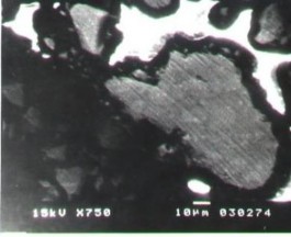 Ban đầu a và sau 23 ngày ngâm trong dung dịch KOH 5M b 14 a b Hình 1 13 Ảnh SEM 3