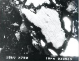 A b Hình 1 13 Ảnh SEM bề mặt mẫu LaNi 2 49 Al 1 98 Mn 0 49 Co 0 08 chưa phóng nạp 4