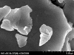 40 Ph©n bè 30 20 10 0 0 0 0 4 0 8 1 2 1 6 2 0 KÝch th­íc h¹t  m Hình 3 15 Ảnh 14