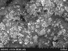 60 Ph©n bè 50 40 30 20 10 0 0 0 0 2 0 4 0 6 0 8 1 0 KÝch th­íc h¹t  m Hình 3 21 4