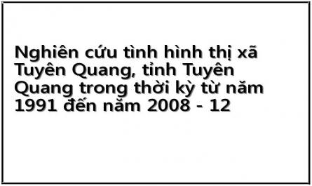 Nghiên cứu tình hình thị xã Tuyên Quang, tỉnh Tuyên Quang trong thời kỳ từ năm 1991 đến năm 2008 - 12