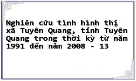 Nghiên cứu tình hình thị xã Tuyên Quang, tỉnh Tuyên Quang trong thời kỳ từ năm 1991 đến năm 2008 - 13