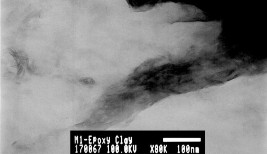 Hình 2 11 Tỷ lệ 2 claynano theo khối lượng epoxy Tỷ lệ 3 mức độ như hình 11