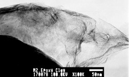 Hình 2 13 Tỷ lệ 4 claynano theo khối lượng epoxy Tỷ lệ 5 như hình 2 14 cho 16