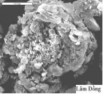 Hình 2 8 Ảnh SEM của bentonit Lâm Đồng và Bình Thuận trước khi hữu cơ hóa 5